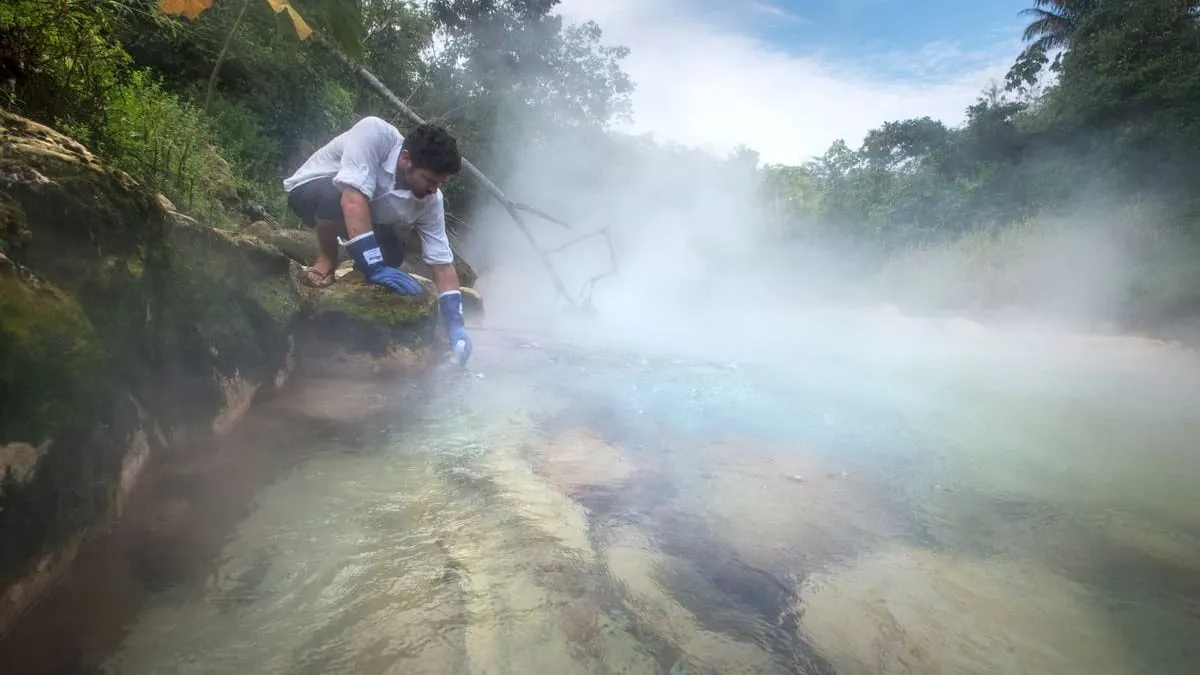 Calor extremo en el Amazonas provoca muerte masiva de delfines y peces