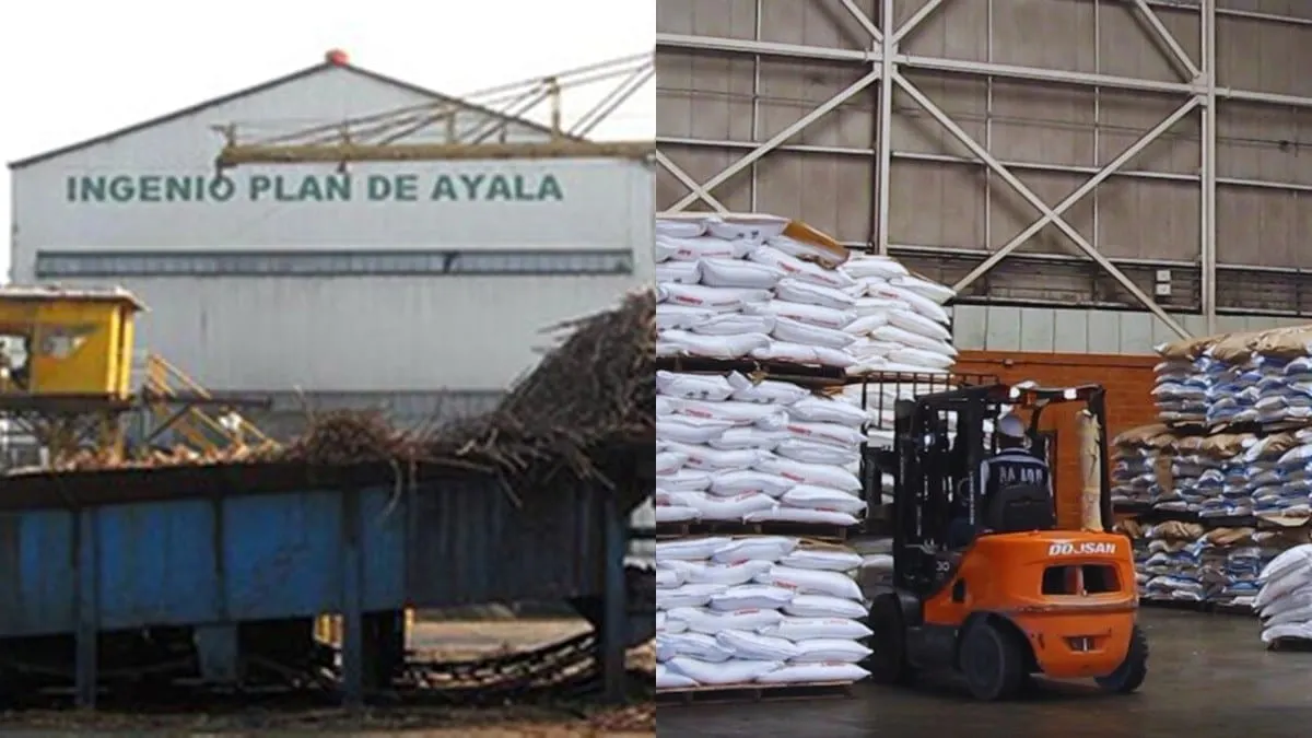 Endulzante amargo: Gobierno eleva aranceles al azúcar para contener sobreoferta y contrabando