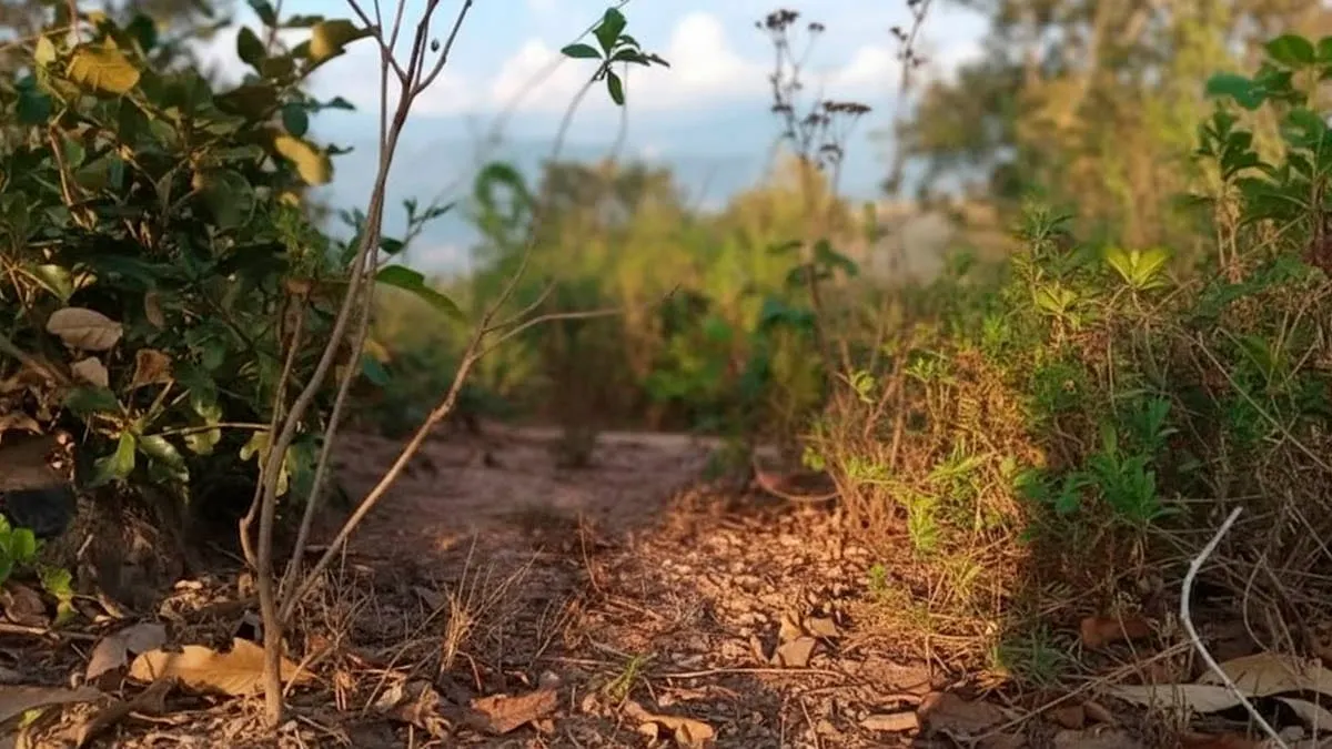 Hallan sin vida a comisario suplente en Malinaltepec, Guerrero