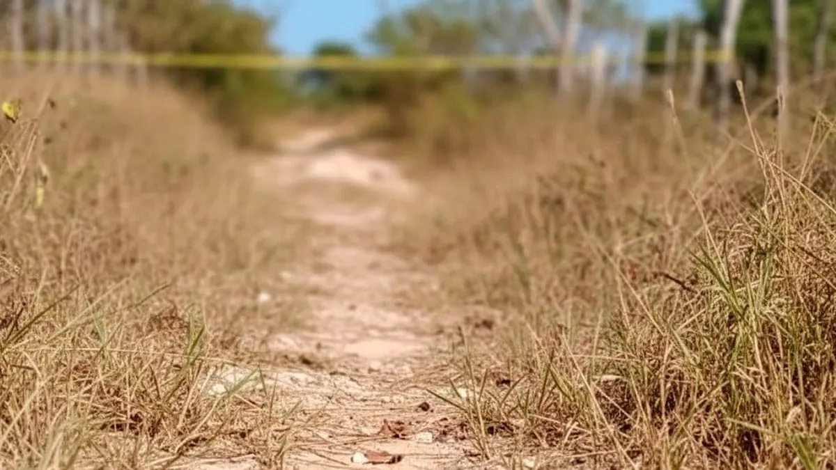 Doble homicidio en Costa Chica: pareja es localizada sin vida en Tlacoachistlahuaca