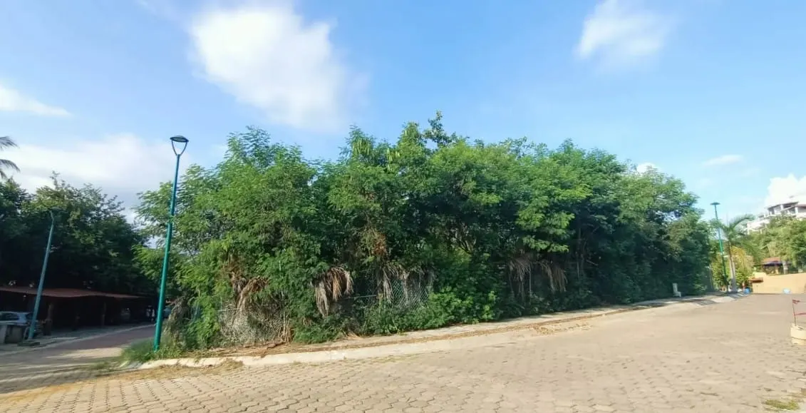 ¡Ojo! Fonatur ofrece terrenos en Ixtapa, Huatulco y Loreto