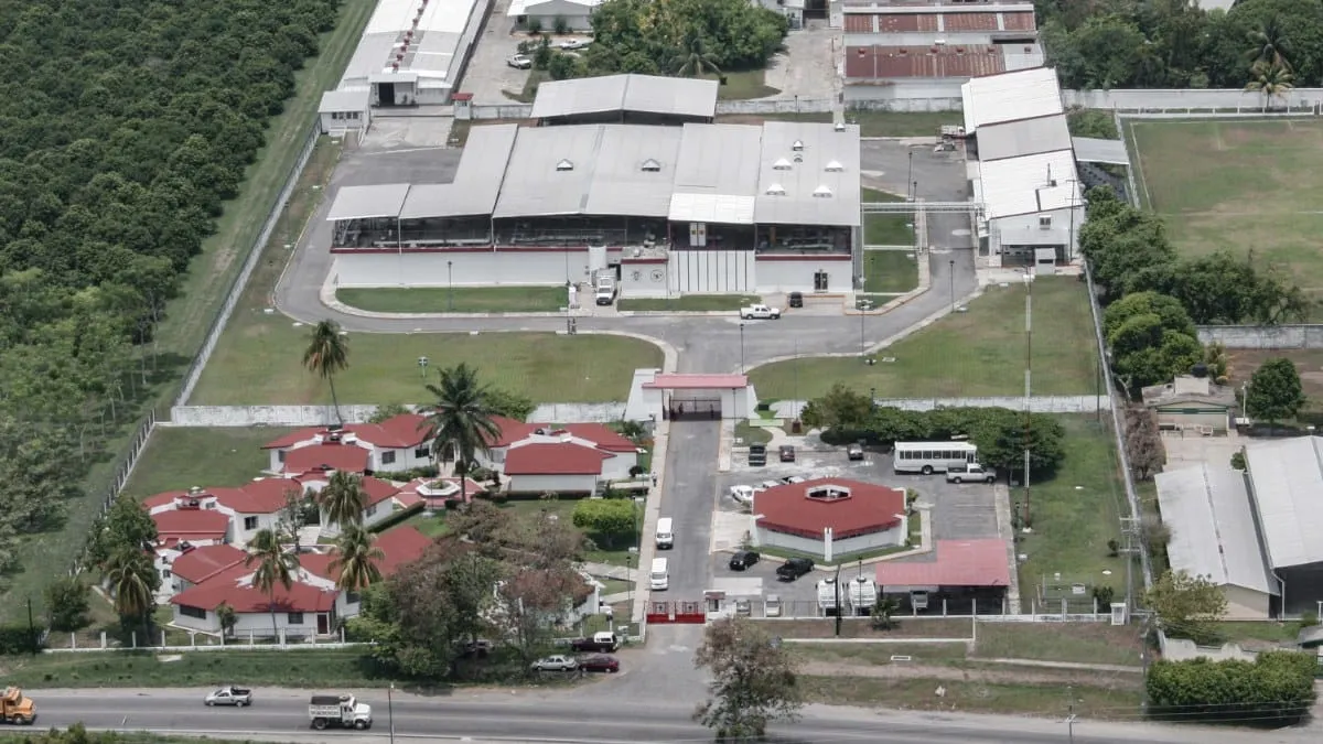 Planta de moscas estériles en Chiapas alcanza 50% de avance y entrará en operación en 2026