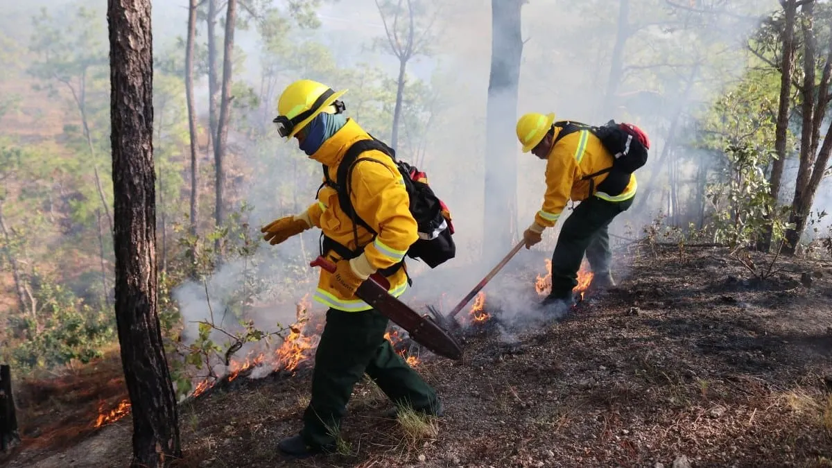 Gobierno de Guerrero activa plan preventivo ante la temporada de incendios