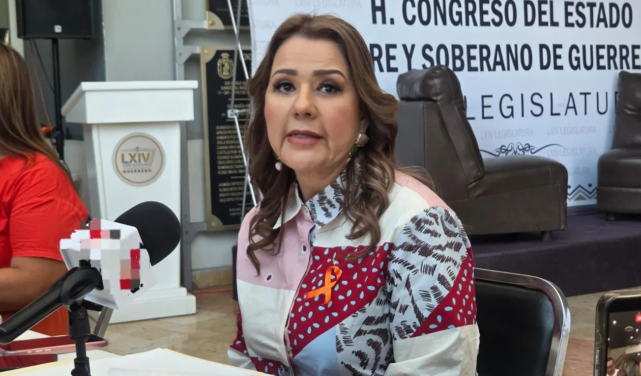 Reforma electoral de Sheinbaum es un retroceso democrático, advierte Erika Lührs