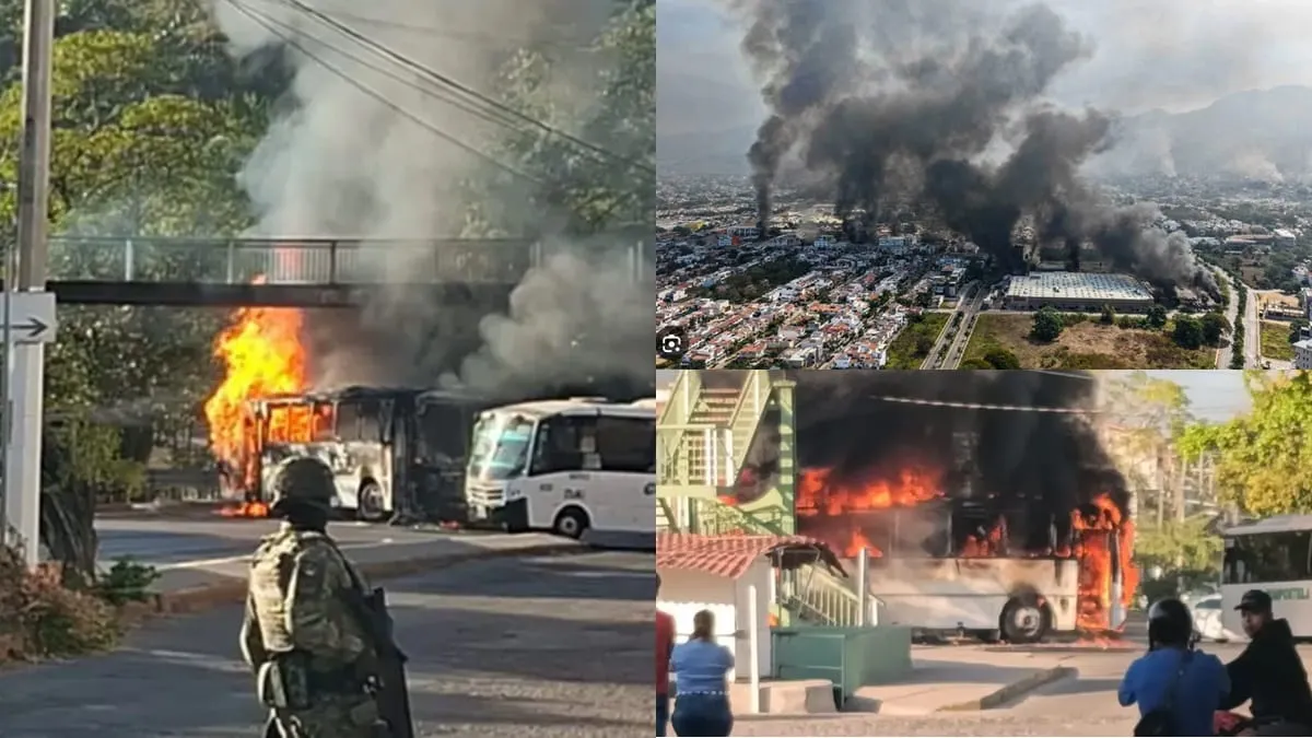 Fueron casi 215 los vehículos incendiados.