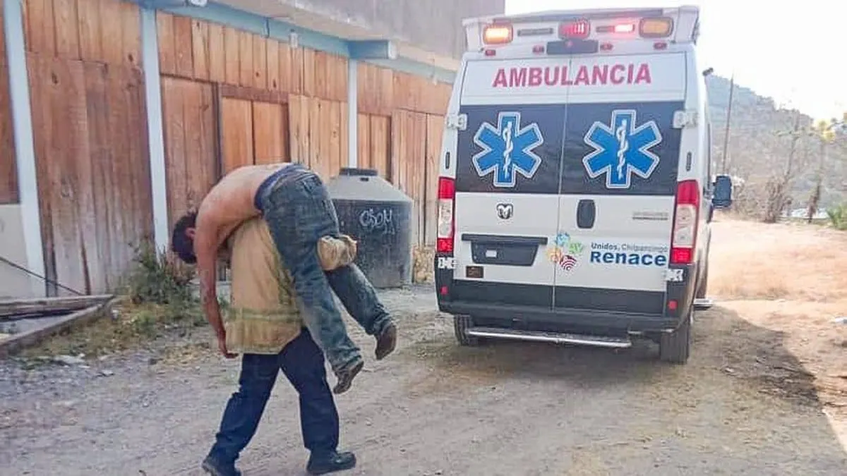 Ataque de abejas deja tres personas hospitalizadas en Chilpancingo