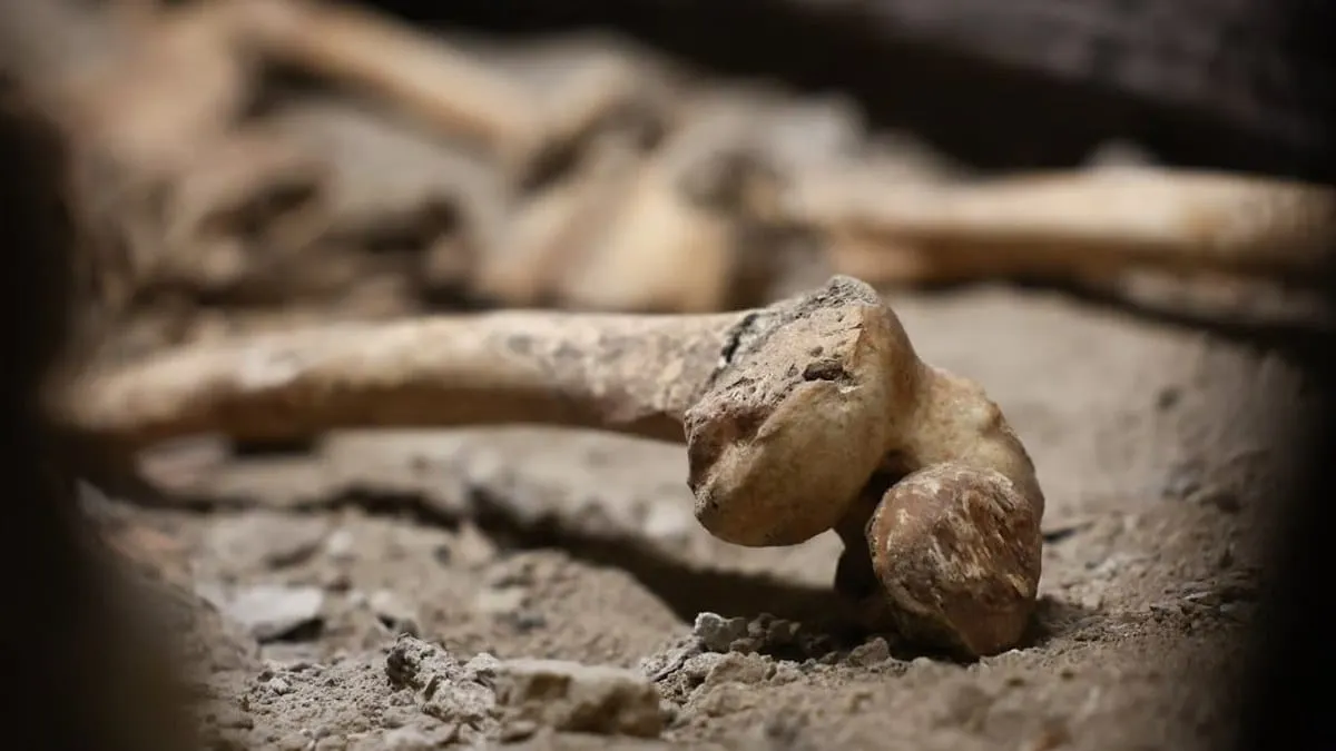 Científicos analizan huesos neandertales y hallan marcas difíciles de explicar