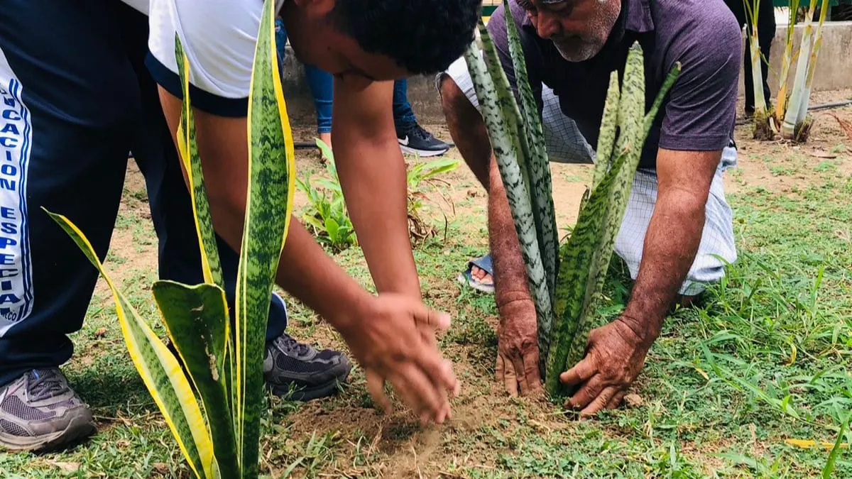 Invitan a ciudadanos a limpiar y reforestar el Parque Papagayo de Acapulco