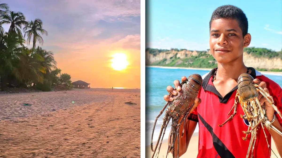 Anuncian Festival de la Langosta 2026 en Punta Maldonado, Guerrero