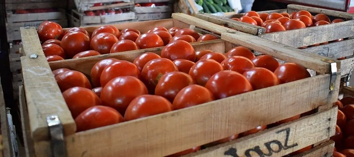 Jitomate Saladet: +61.02% (El golpe más severo a la dieta básica).