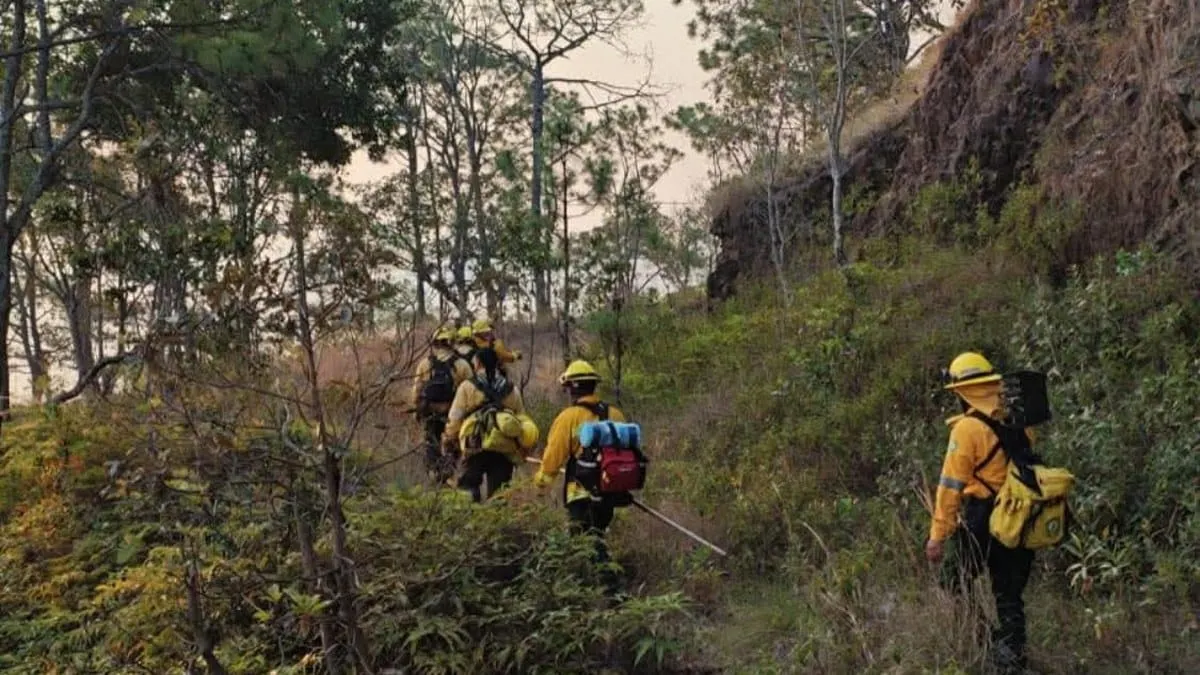 Refuerzan combate a incendio forestal junto a la Autopista del Sol, en Chilpancingo