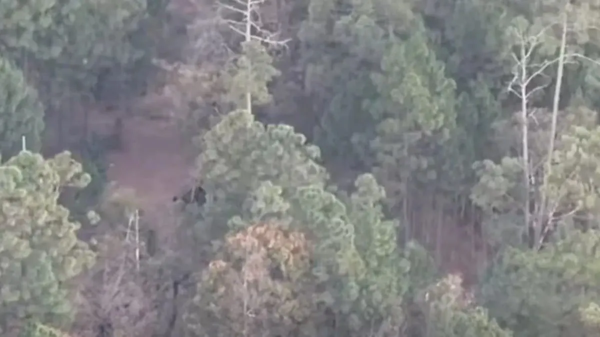 Con drones, ejido de Guerrero detecta base de presuntos sicarios