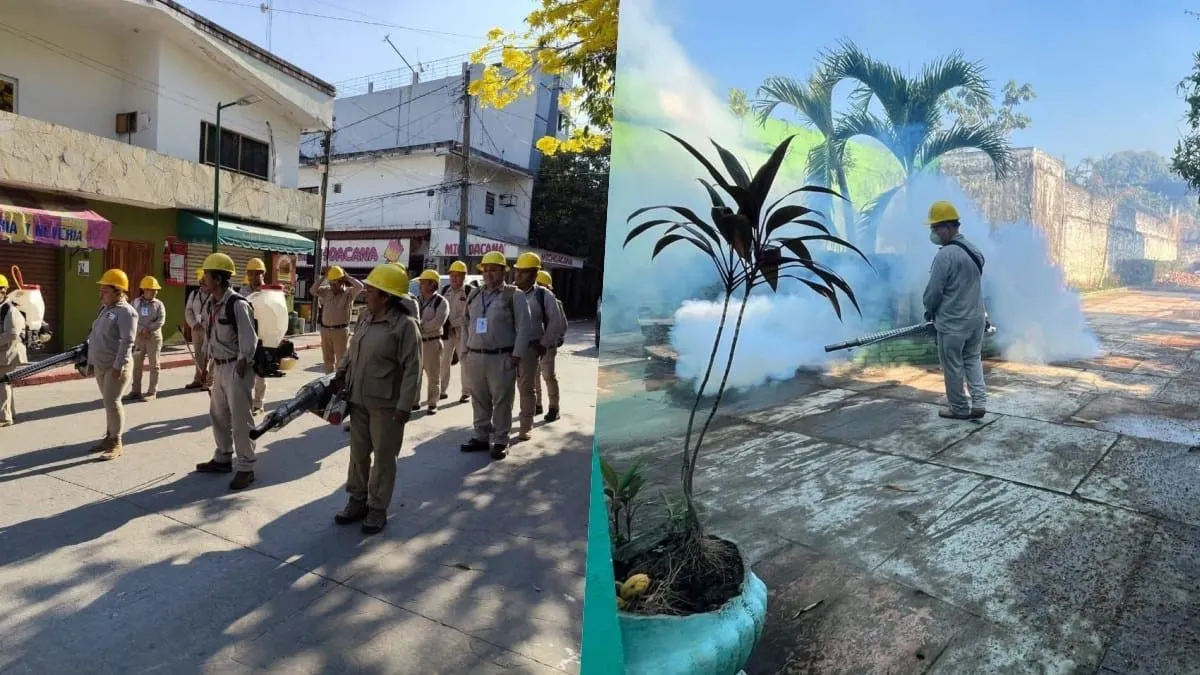 Reportan caída de 78% en casos de dengue en SLP al inicio de la campaña nacional de prevención.