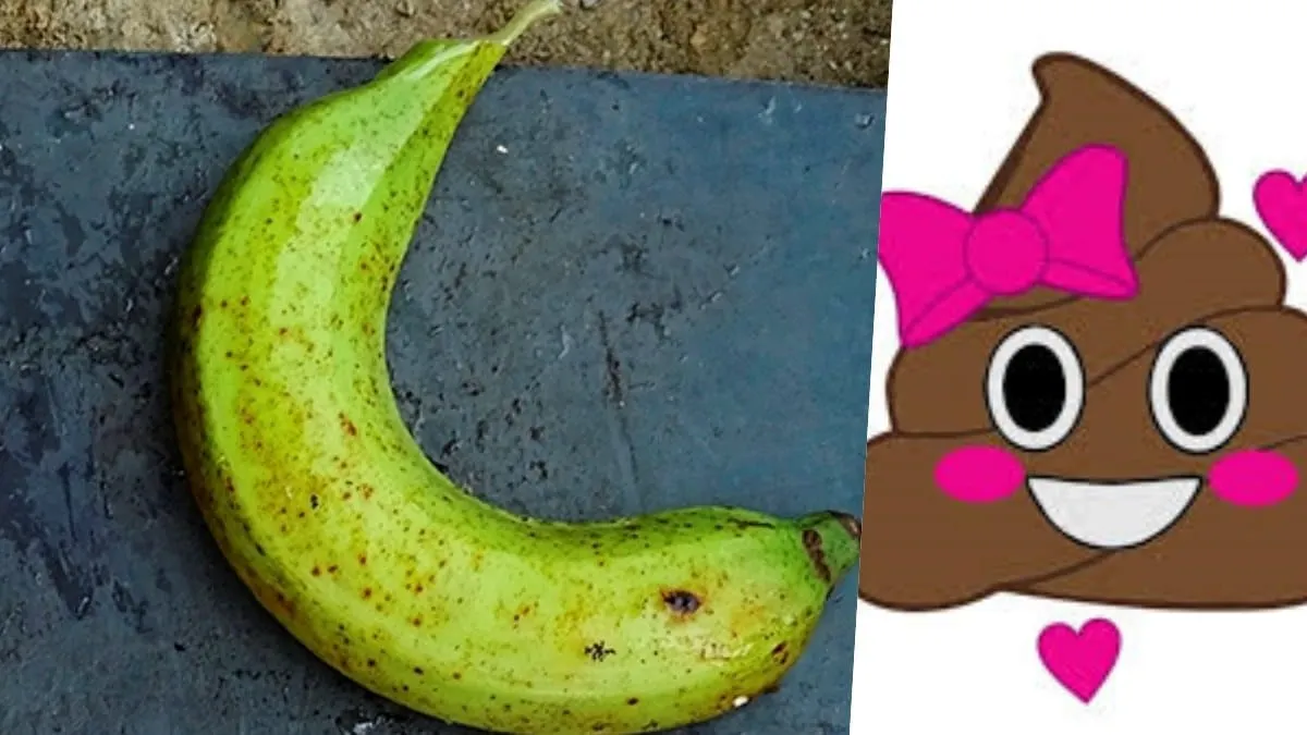 Pistas sobre la salud digestiva.