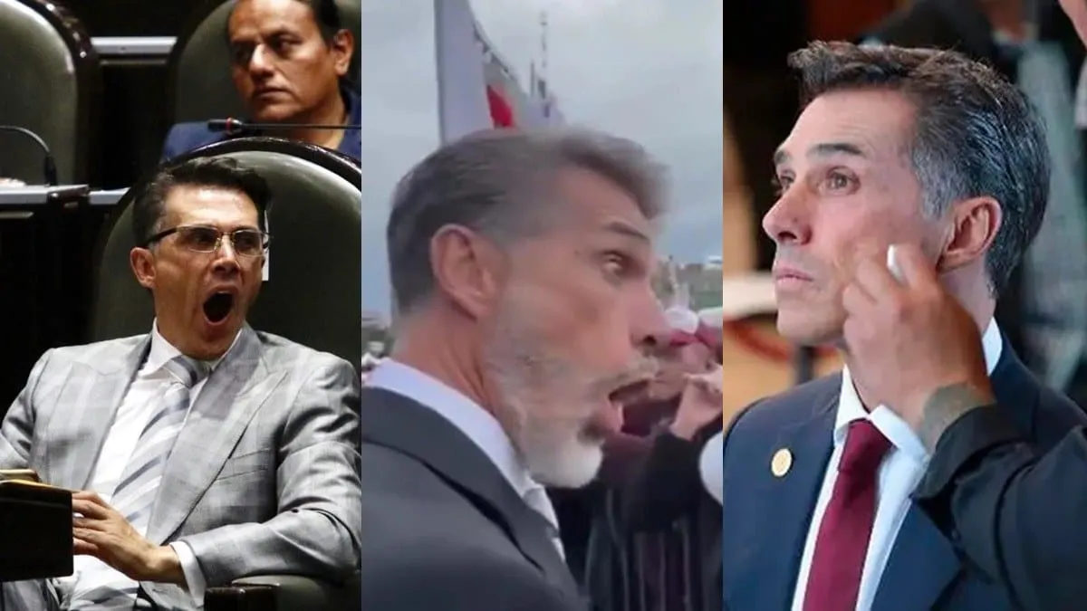 Sergio Mayer, otro diputado inútil.