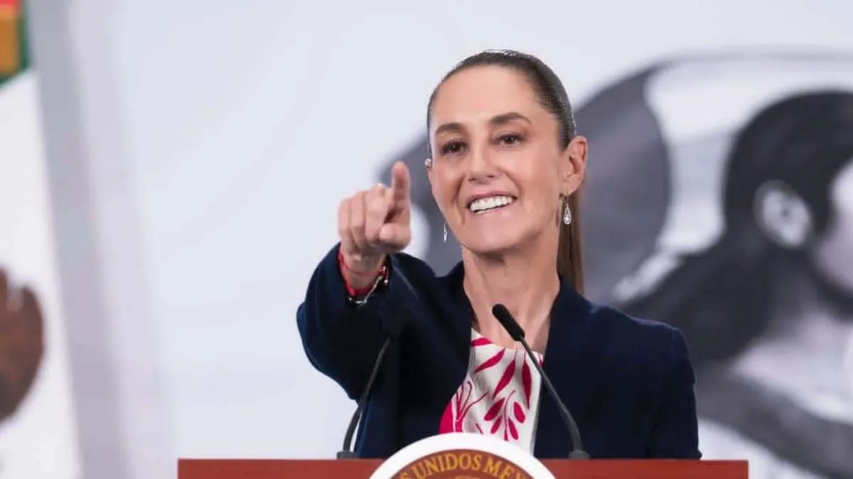  Según la Presidenta, el informe presenta fallas fundamentales.