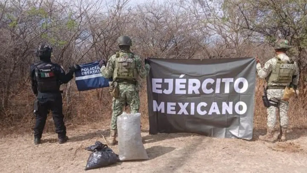 Aseguran 10 kilos de marihuana en carretera Atenango–Copalillo, sin personas detenidas