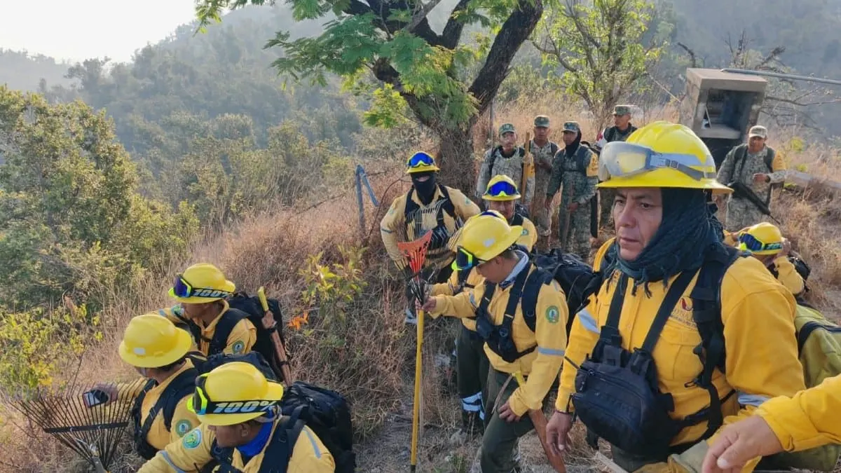 Cerca de 100 combatientes intensifican acciones ante incendio en El Veladero y Ejido Viejo