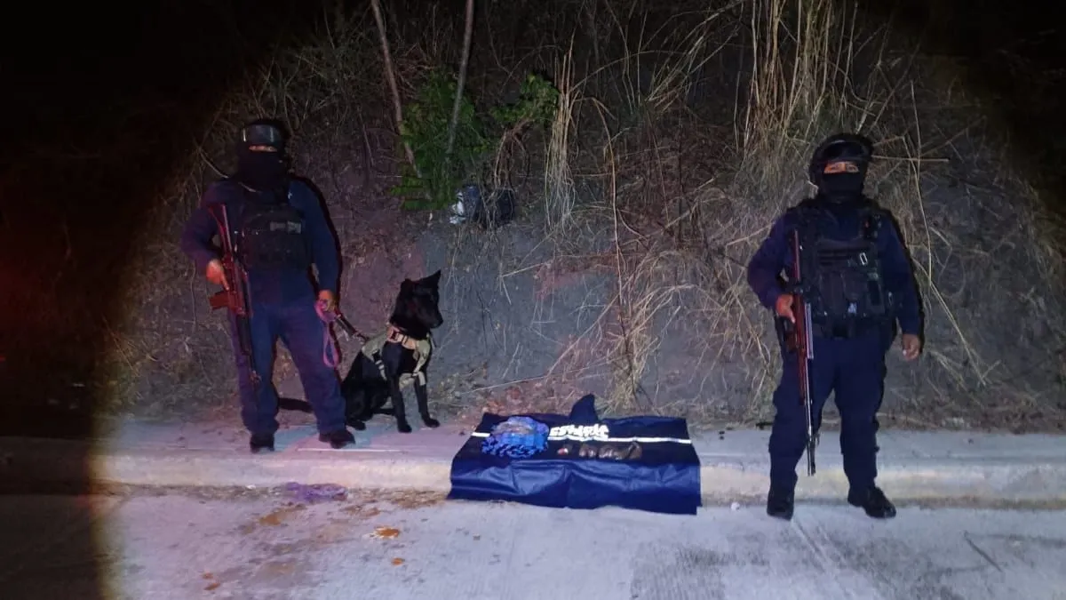 Un olfato entrenado y una llamada al 911: así localizaron presunta droga en Chilpancingo