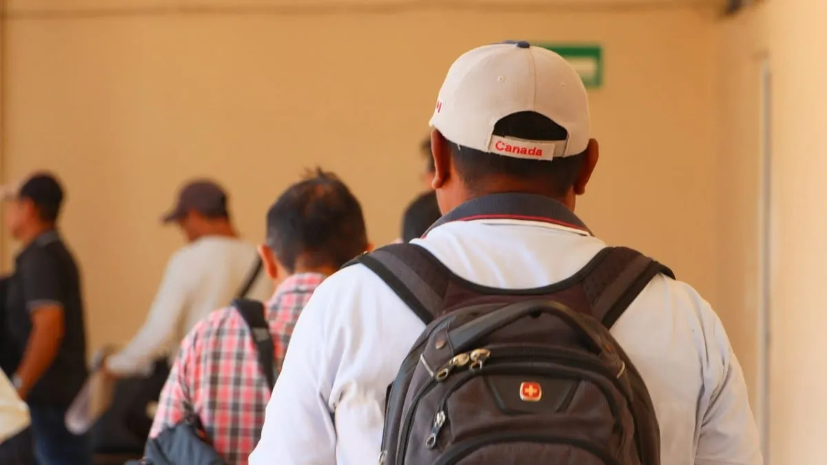 Reactivan envío de jornaleros de Guerrero a Canadá con apoyo del gobierno