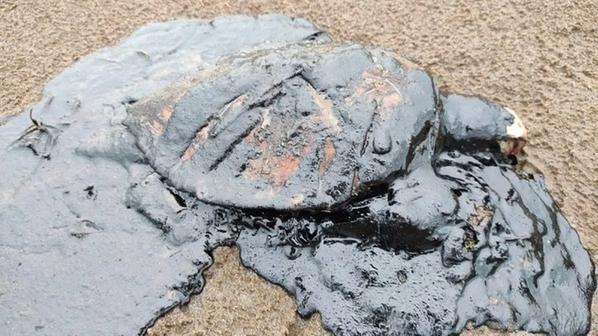 La presidenta se reunió con especialistas y miembros del GI para analizar el impacto.