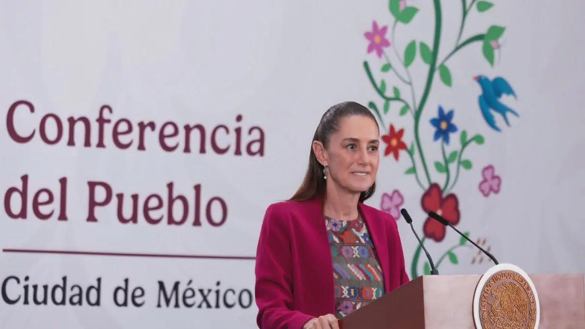 “Es una ficción del tamaño del universo", dice la Presidenta.