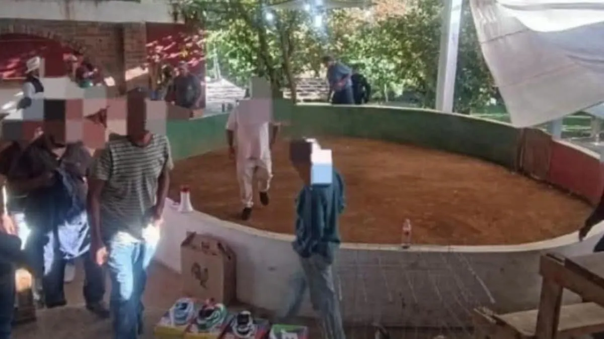 Disputa en pelea de gallos desata balacera en Igualapa; un hombre perdió la vida