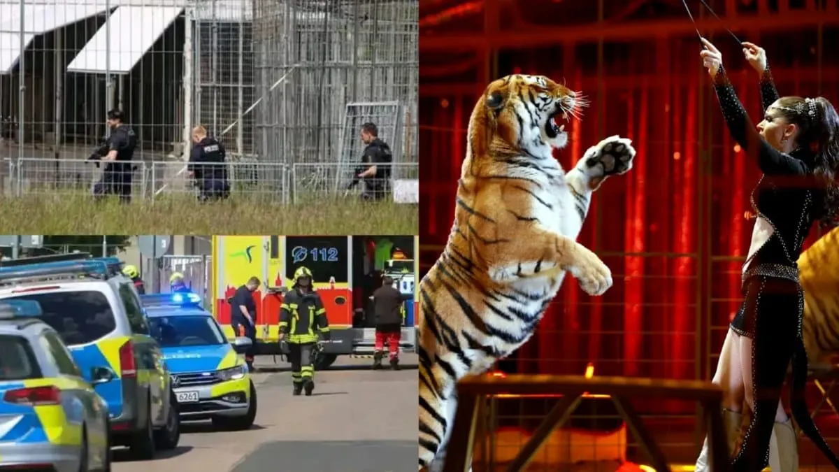 Tigre ataca brutalmente a su cuidador de 72 años y termina abatido en Alemania