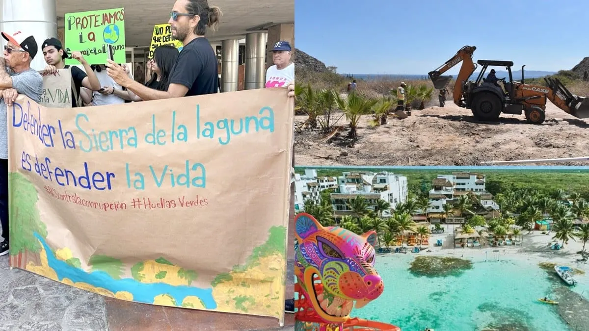 Daños ambientales de norte a sur de México, proyectos depredadores.