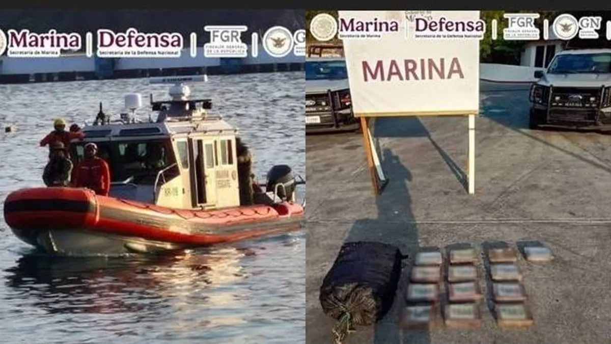 Flotaba a la deriva, a casi 460 kilómetros al suroeste de las costas de Oaxaca.