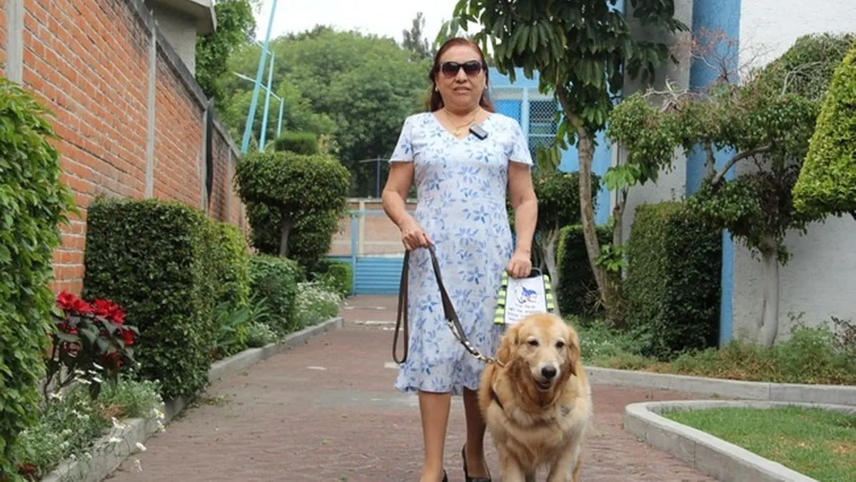Congreso de Guerrero va por reforma para proteger acceso de personas con discapacidad