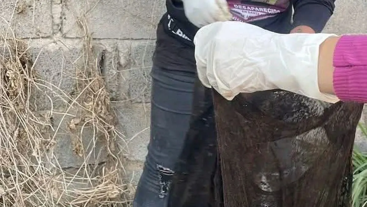 Mientras alistan el Mundial, hallan otra fosa con decenas de restos en Guadalajara