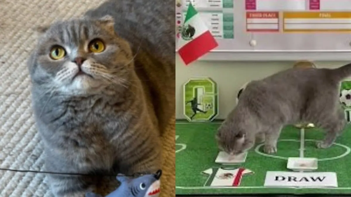 El felino acertó la victoria de México en el partido inaugural.