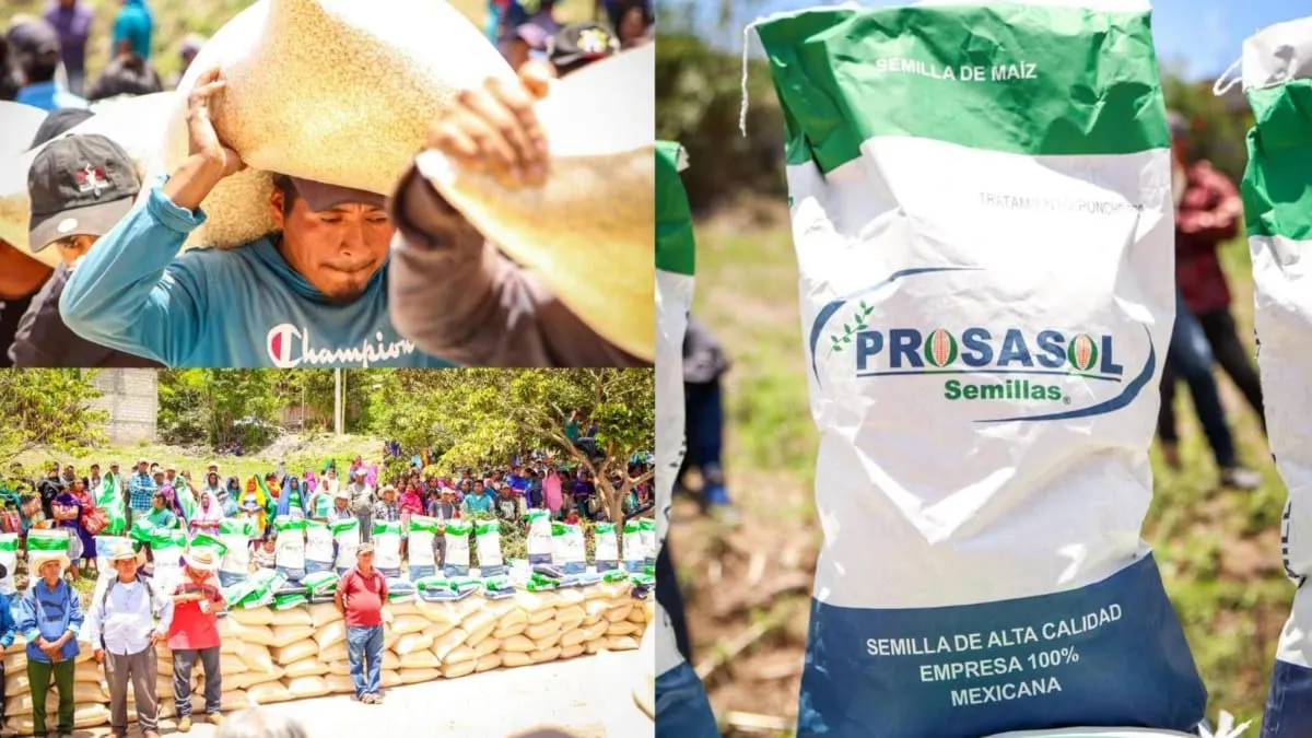Impulsa Evelyn Salgado la entrega de apoyo alimentario y semilla mejorada en Chilapa