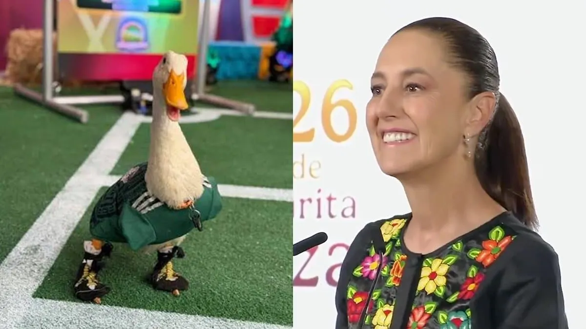 Para la mandataria, este fenómeno es el reflejo perfecto del ingenio y la calidez de la cultura mexicana.