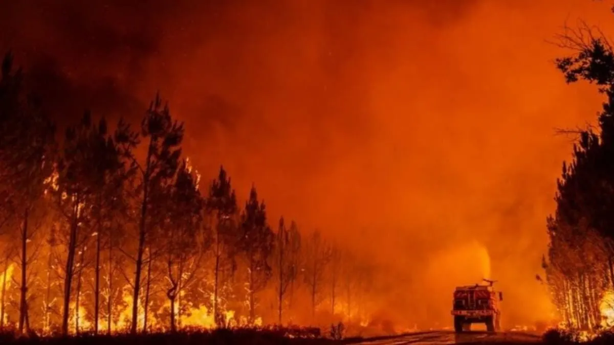 Catastrófico incendio forestal devasta más de 2 mil hectáreas en histórico bosque de Francia