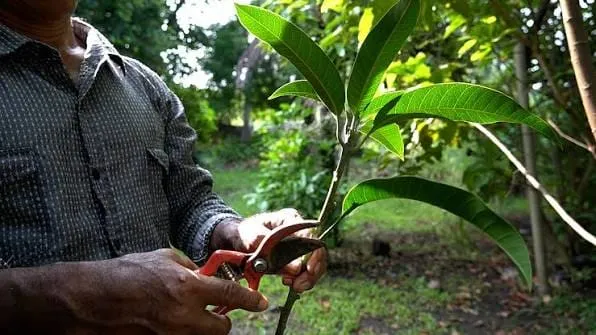 Congreso de Guerrero busca reforzar el apoyo al campo para cuidar los suelos y mejorar las cosechas