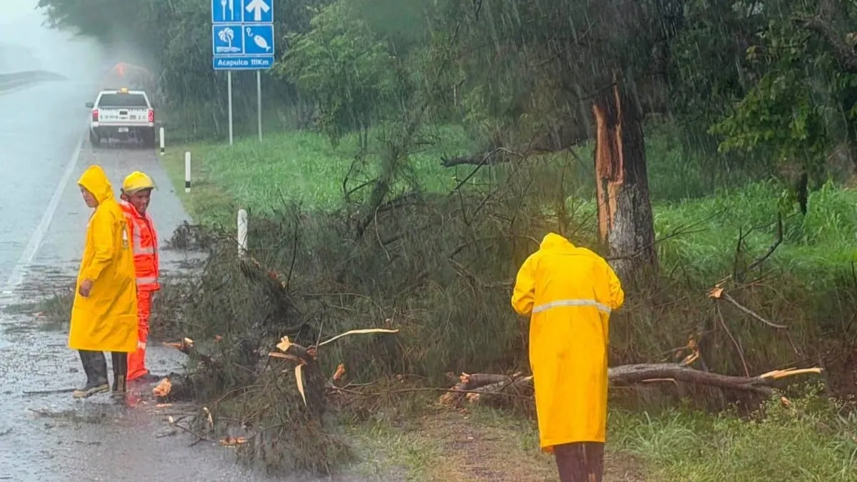 Árbol cae sobre la Autopista del Sol y moviliza a cuerpos de emergencia en Chilpancingo