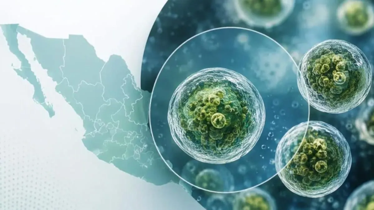 Ciclosporiasis ya suma 33 casos en México; Salud descarta que el país sea la fuente del brote internacional