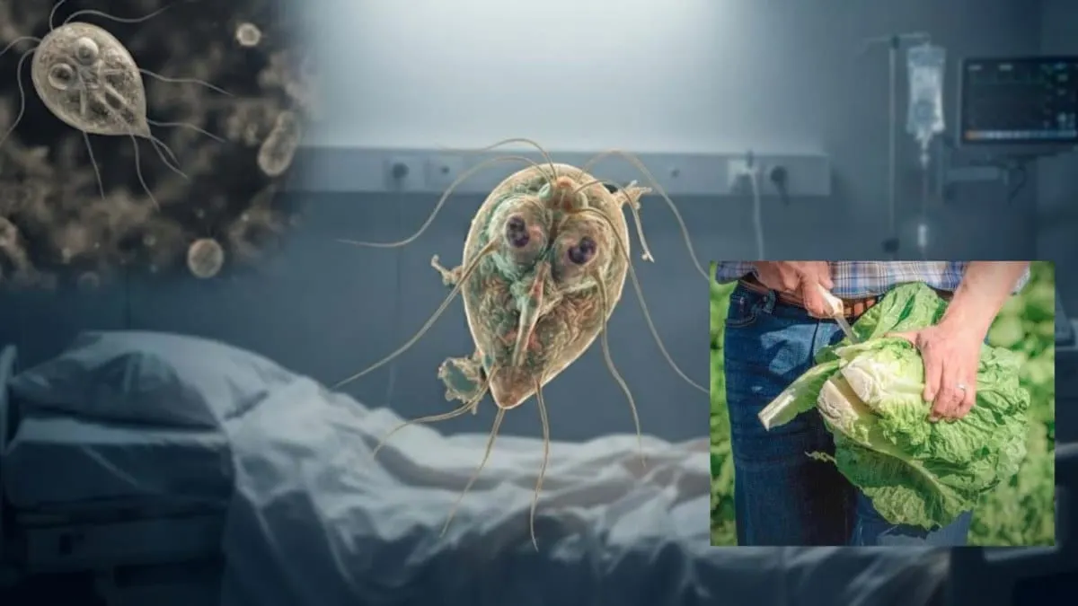 EU confirma las primeras dos muertes por infección causada por Cyclospora