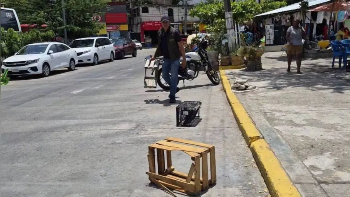 Gobierno Municipal de Acapulco intensifica acciones contra apartaespacios en la Costera; advierten sanciones