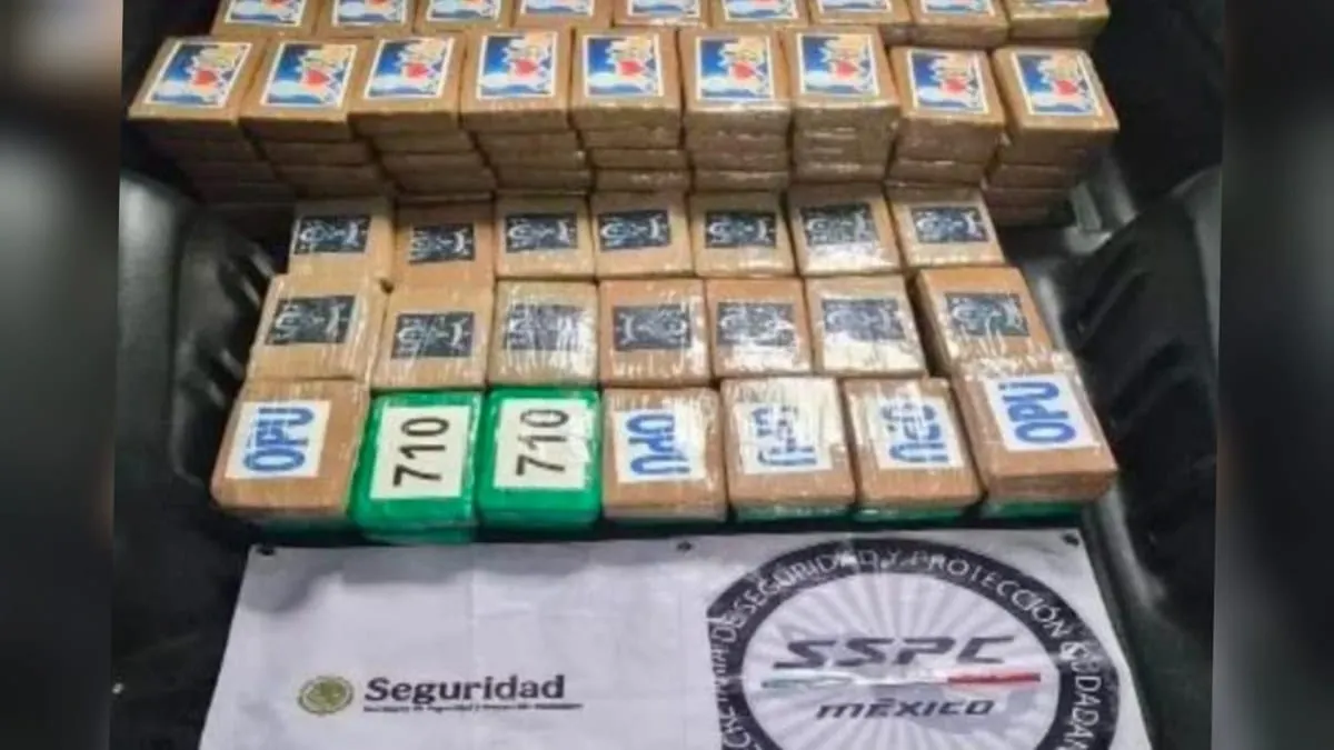 Golpe al trasiego de droga; detienen a una persona con 217 kilos de cocaína en Tlalpan