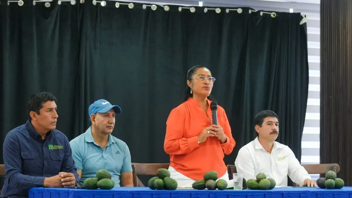 Guerrero tiene aguacate, pero falta mercado; Abelina López busca abrirle paso entre productores y hoteles