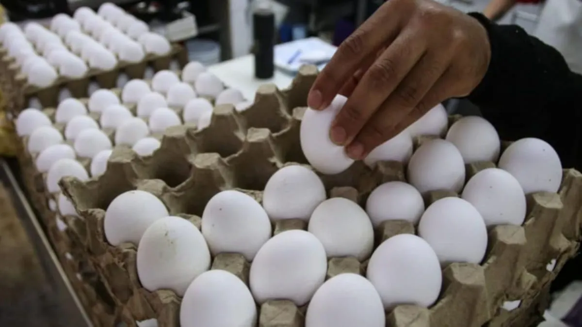 Huevo pega al bolsillo mexicano; precio aumenta 7.92% y alcanza su mayor alza en 20 años