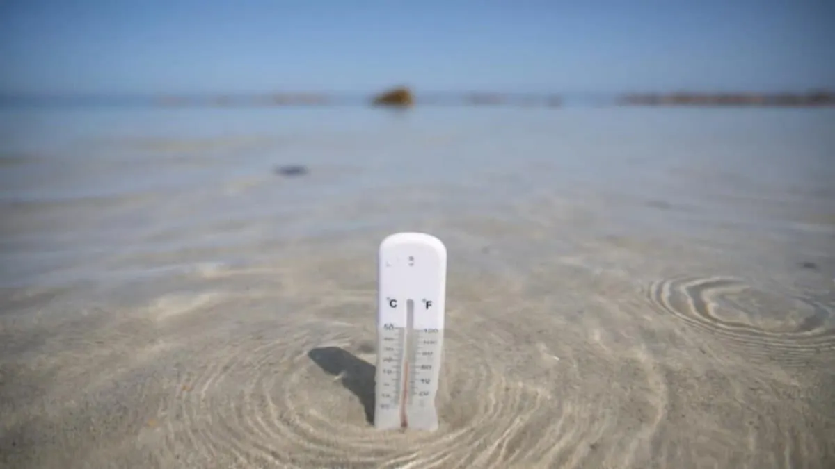 Océanos rompen récord de calor; alcanzan los 21.10 grados, nuevo máximo registrado a nivel mundial
