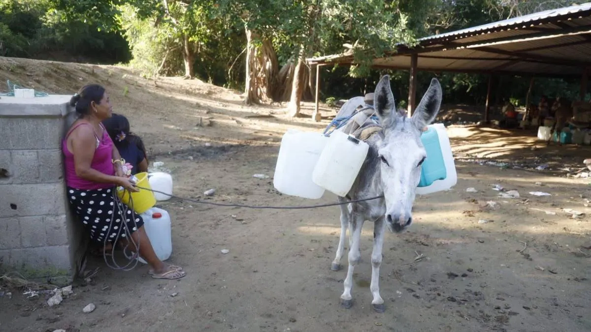 Tarda el gobierno en obras de agua para Cacahuatepec de Acapulco, denuncian