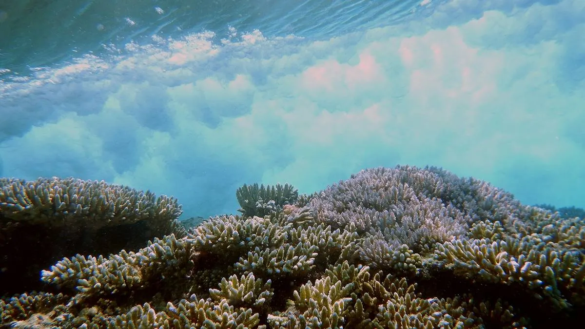 El cambio climático podría estar haciendo más fuerte a El Niño