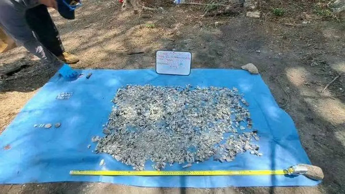 Ya son más de 200 fragmenos óseos hallados en El Arenal de Acapulco