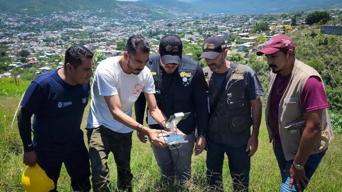 Autoridades descartan que jaguar ronde la zona urbana de Chilpancingo