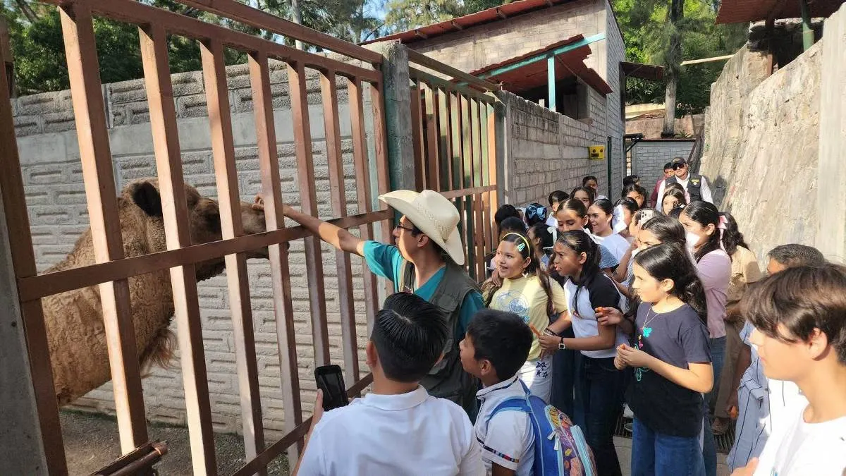 Gobierno Infantil de Guerrero visita Zoochilpan y conoce de cerca a un bebé jaguar